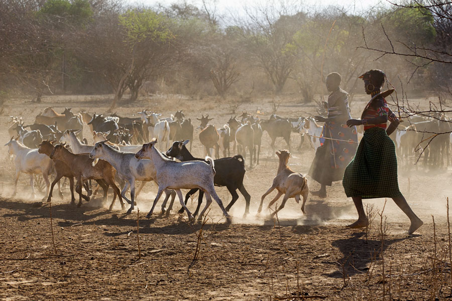  Daily life in a Pokot village   Kenya